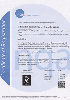 ISO13485-國際質(zhì)量體系認證（英文）
